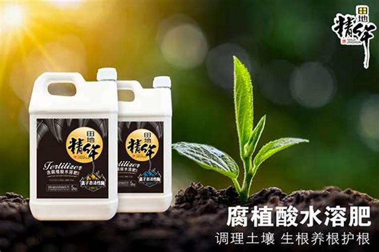 新疆矿源黄腐酸钾哪个厂家的品牌好