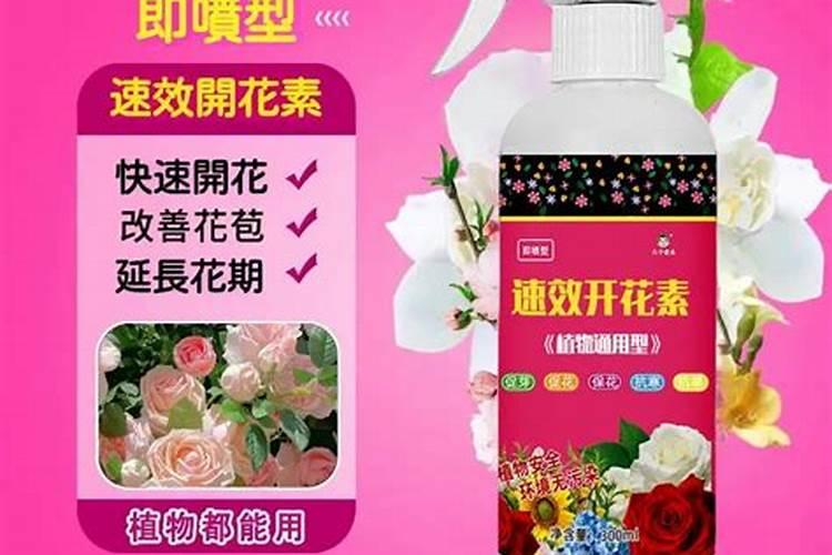速效开花精养花怎么用？