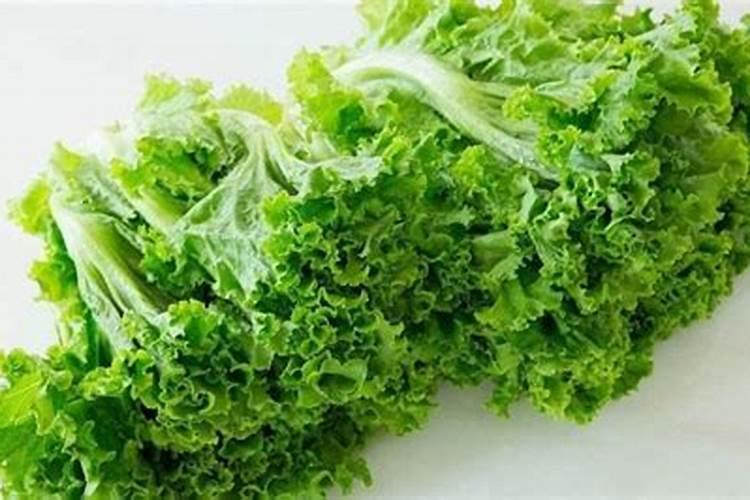 生菜后期可以打芸苔素吗