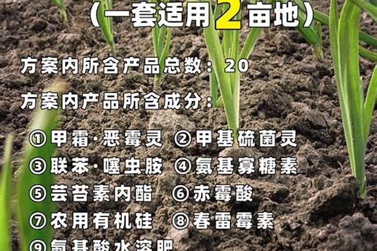 水溶肥用硝酸钾还是硫酸钾好