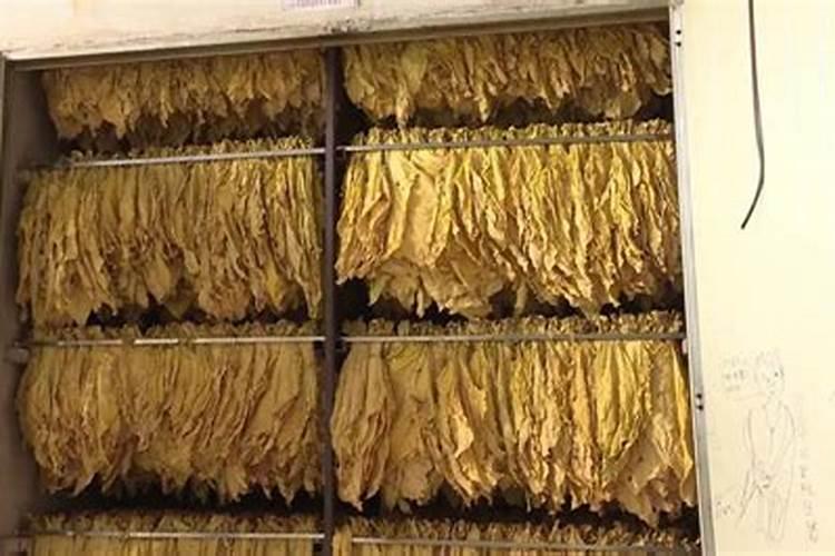 当前棉花叶面施肥怎么样追加