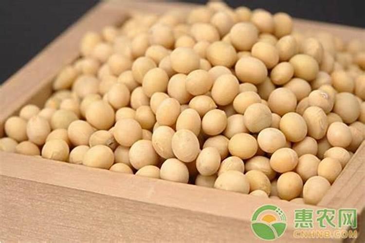 磷酸二铵的作用及使用方法
