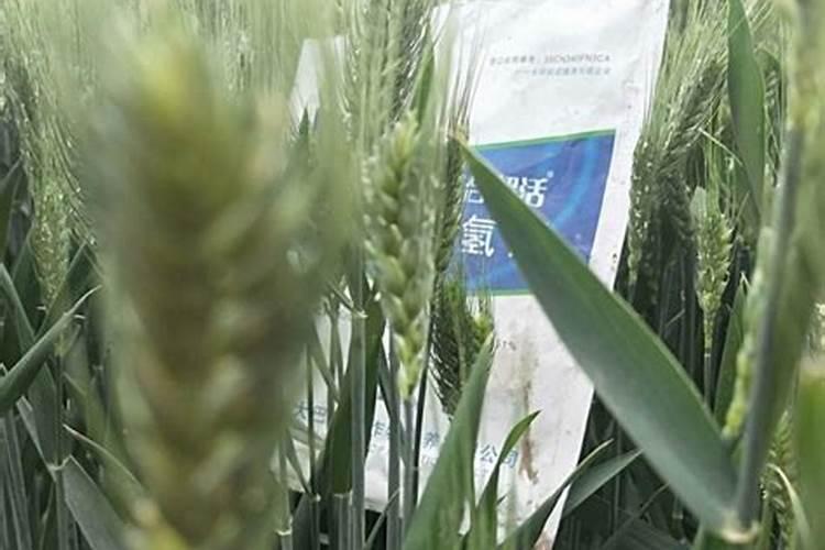 鹤壁市人元生物技术发展有限公司怎么样？
