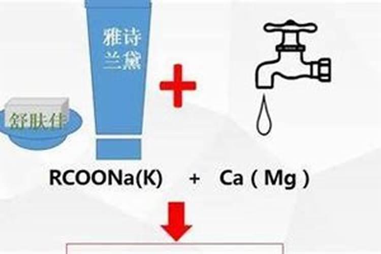 红网纹草怎么浇水方法