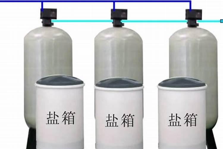 用什么擦金钱树叶子好？