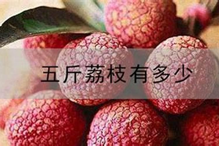 荔枝采摘后的修剪要点有哪些 荔枝怎么施肥