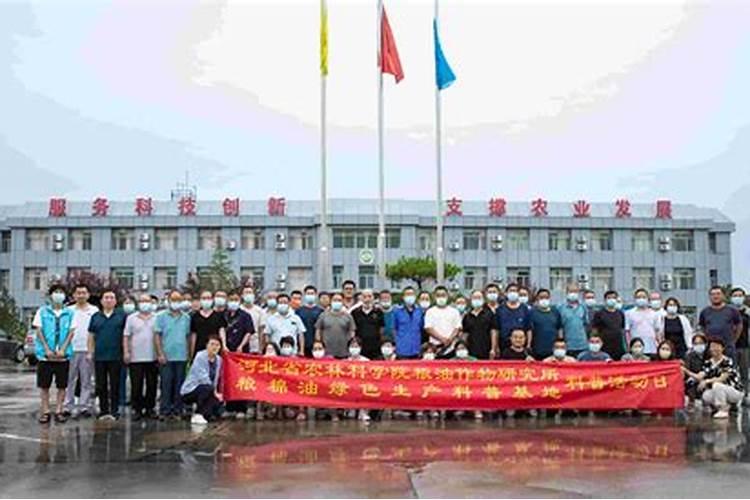 提高套袋桃的硬度喷什么叶面肥好