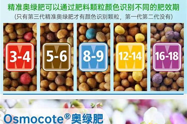 奥绿肥5号对君子兰的作用