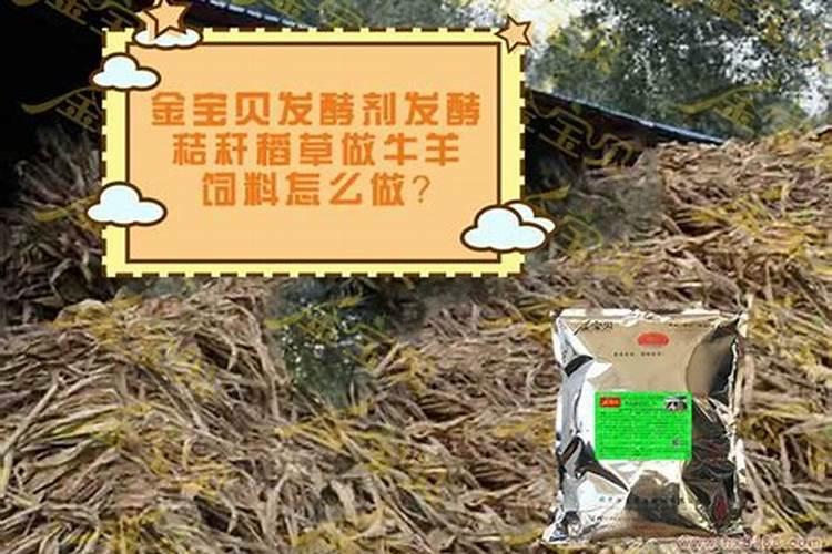 家庭自制有机肥发酵方法大全