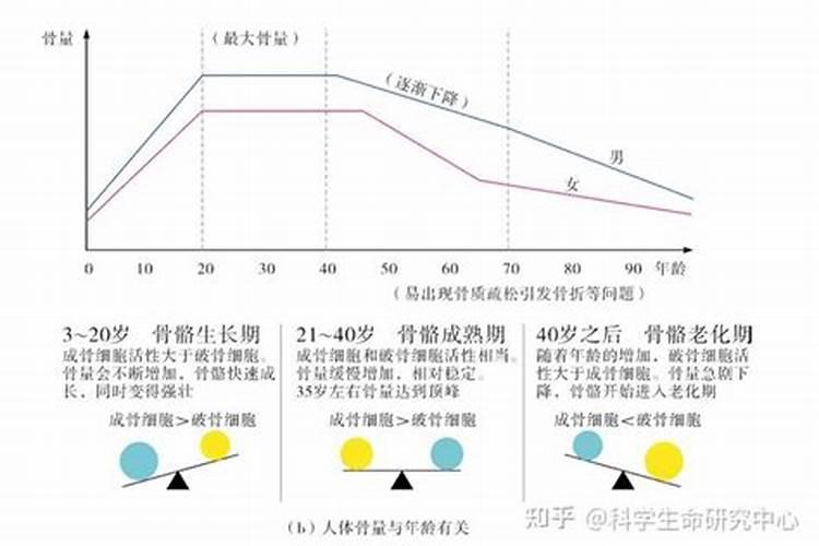 尿素和硝酸铵钙哪个肥效期长