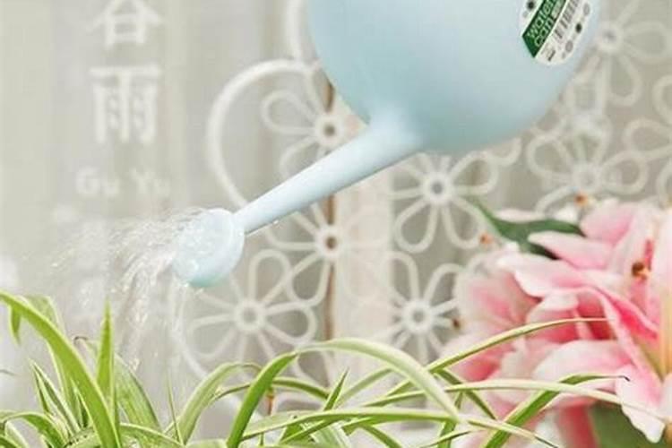 氮肥可以兑水浇花吗