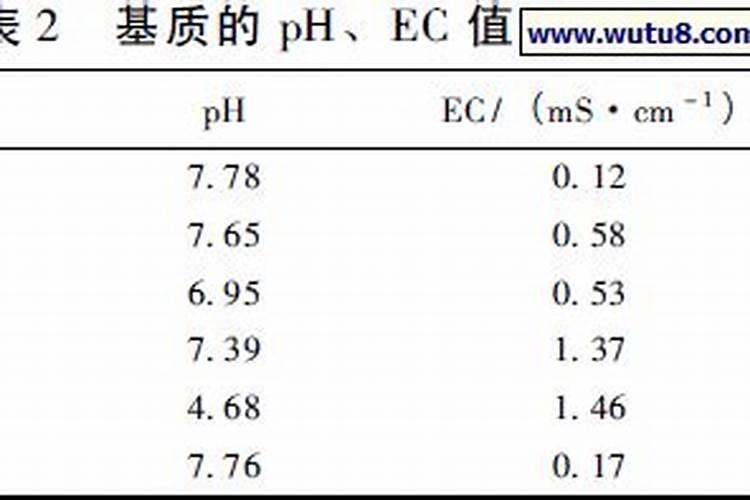 怎样使用松树皮养兰花 好处有哪些
