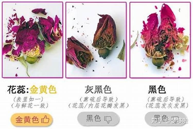 玫瑰的栽培方式是什么？