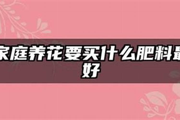 生根肥使用过程中应注意什么