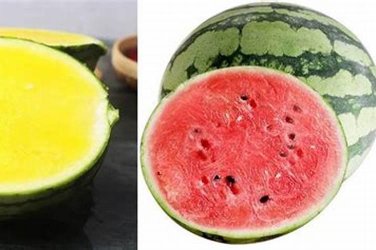 【人参果】的功效与作用