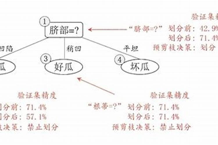 松柏针叶发黄发黑怎么办