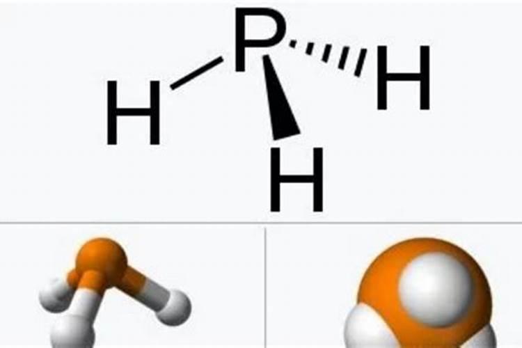 ...土附近的生物群落是否受到影响？其他尸体能否产生磷火？