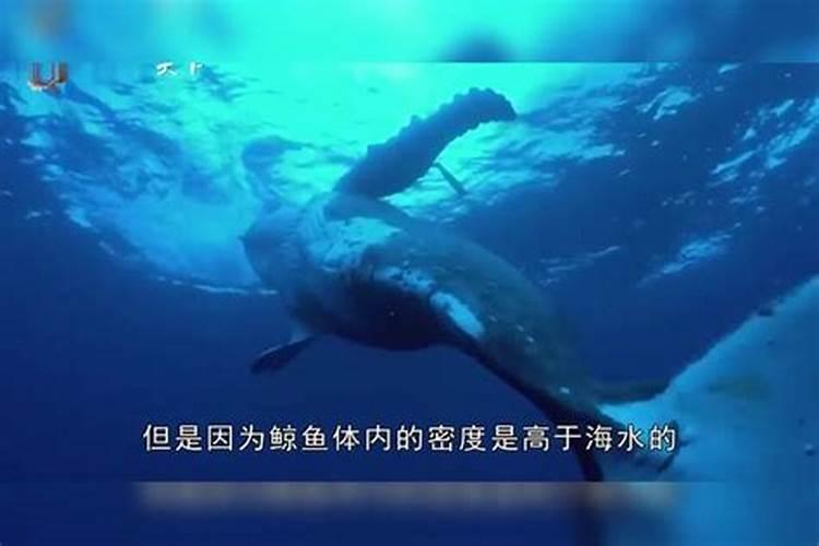 沉积型循环的磷的循环