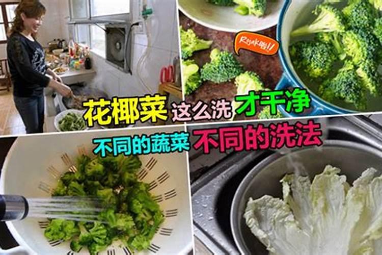 氮肥是什么肥
