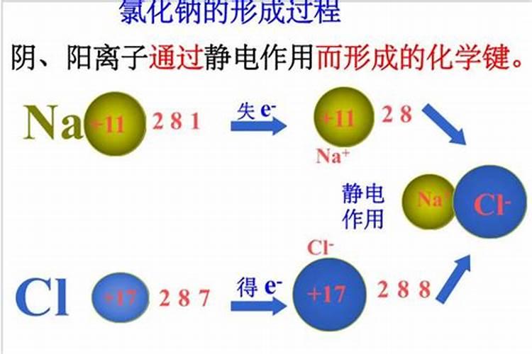 l硼肥和钙肥算金属离子吗？