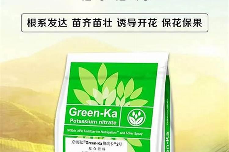 菊花有花蕾时能用磷酸二氢钾喷叶面肥吗