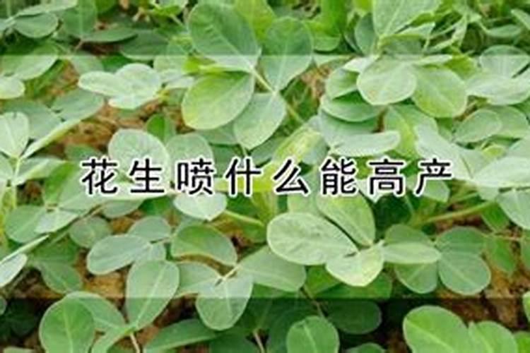 种花生用3个15复合肥好不好