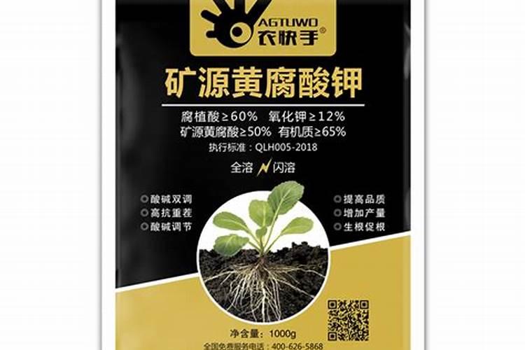 扦插小苗多久能用矿源黄腐酸钾和萘乙酸区别