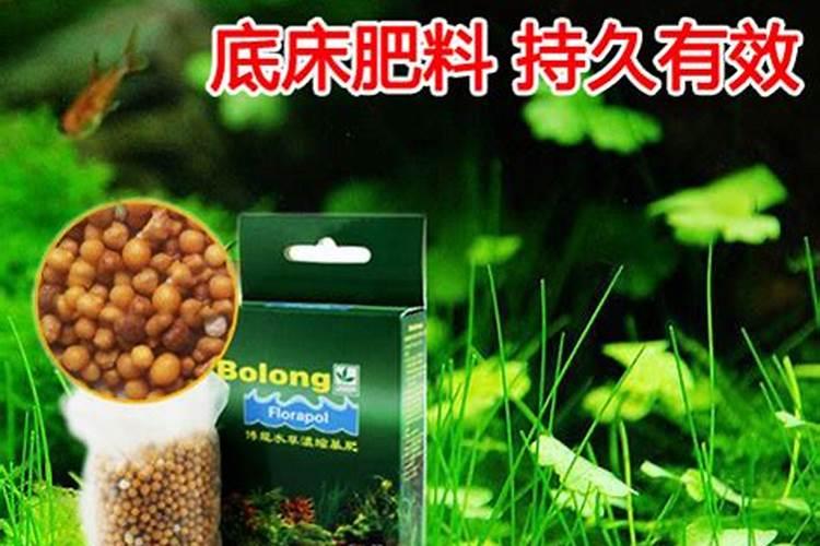 黑龙江省博龙牧业股份有限公司电话是多少？