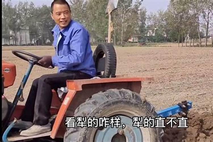 花生用什么叶面肥好 附种植方法