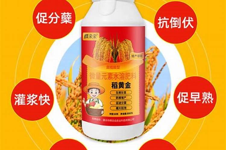 想要让草莓上色快,甜度高,该如何施肥呢？
