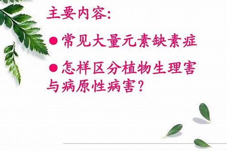 大量元素中的钾对植物有哪些好处？