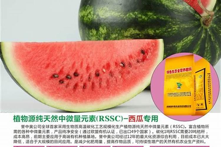 西瓜施肥技术