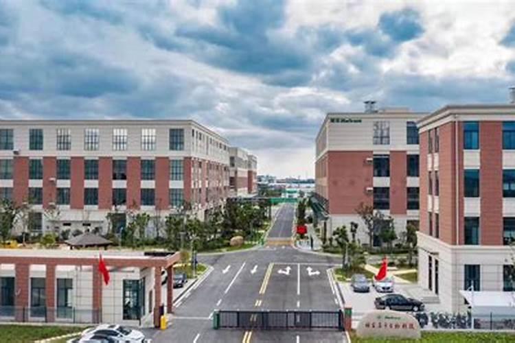 水溶肥排名前十位的有哪些品牌