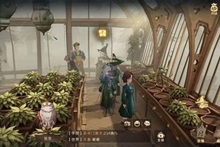 水果玉米施什么肥最好