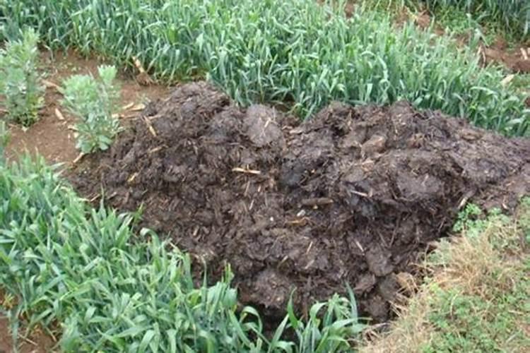 沤肥和堆肥的区别