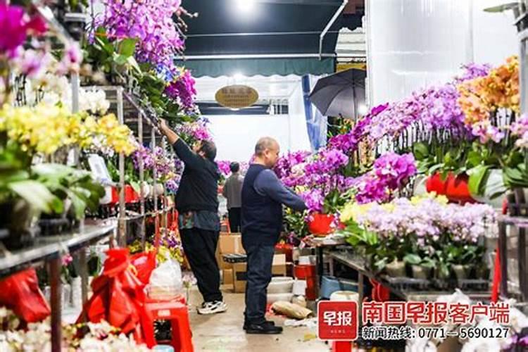 月季开花用什么肥