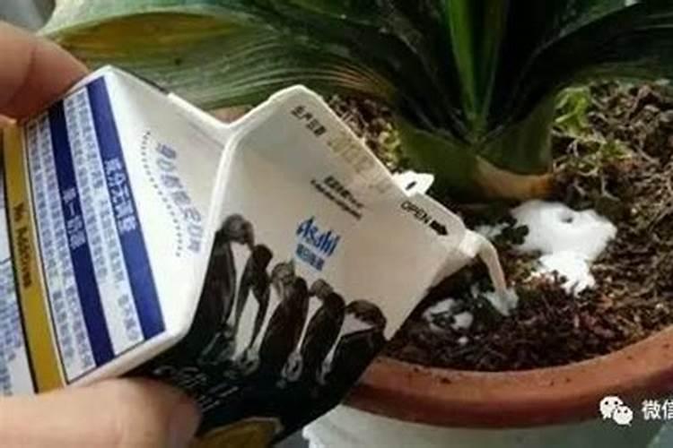 夏天浇花最佳时间