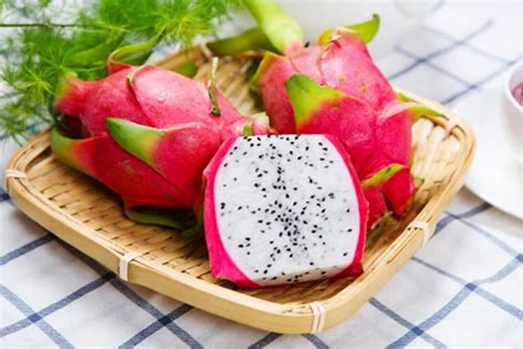 盆栽火龙果用什么肥料施肥 火龙果喜欢水和阳光吗