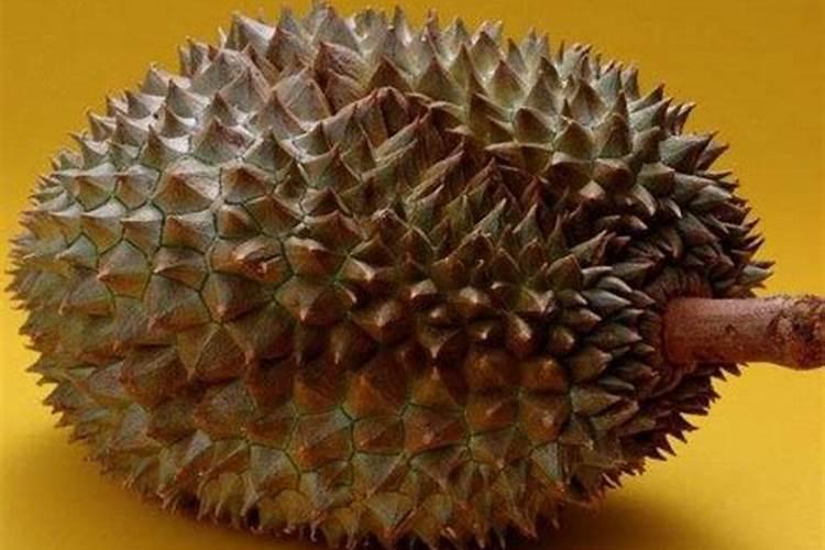 榴莲怎么种植？