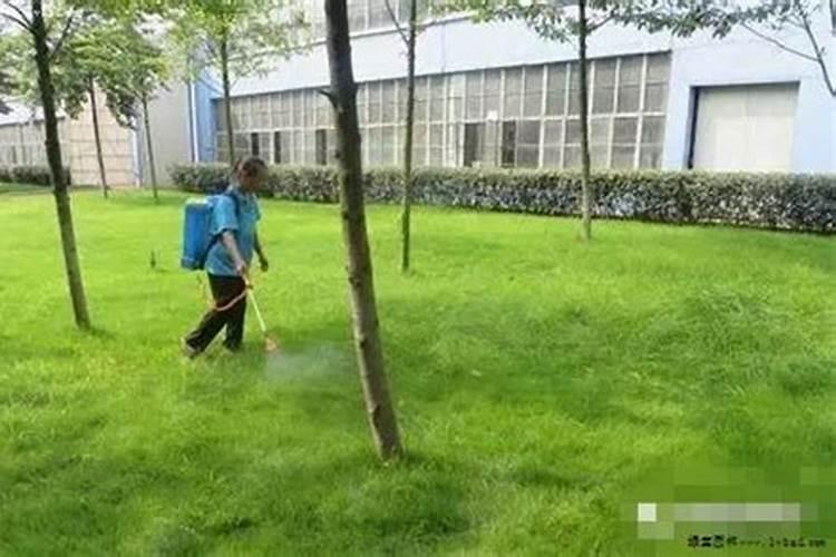 山楂树除草多功能肥料的配方和使用技术是什么样的？