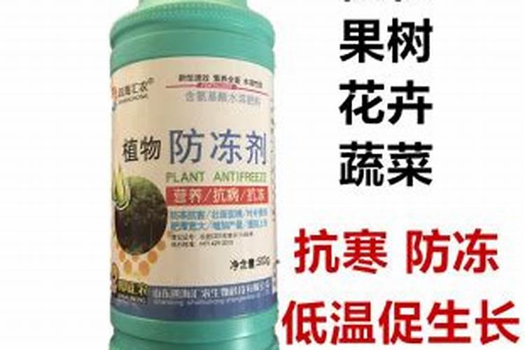 大棚辣椒能喷防冻剂吗？