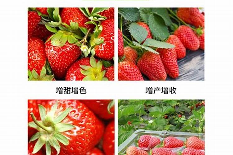 香妃为何会天生异香？真相是什么？
