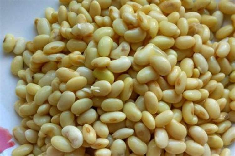 炒熟的黄豆可以做肥料吗 具体怎么操作能做肥料
