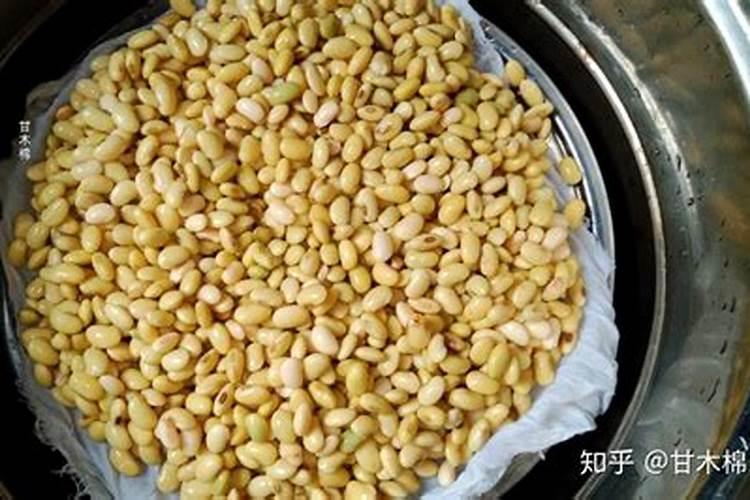 煮熟的黄豆怎么发酵做肥料
