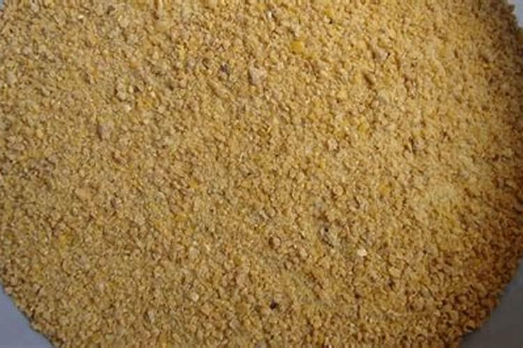 用黄豆做肥料需要煮熟吗