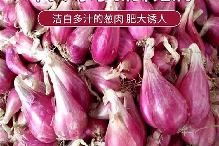 如东掘港哪里在招工