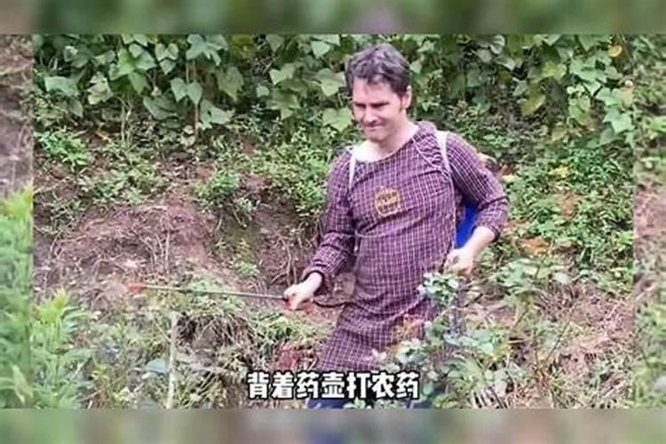 牡丹花如何施肥