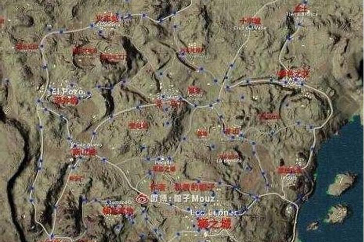 用什么养护沙漠玫瑰越养越旺