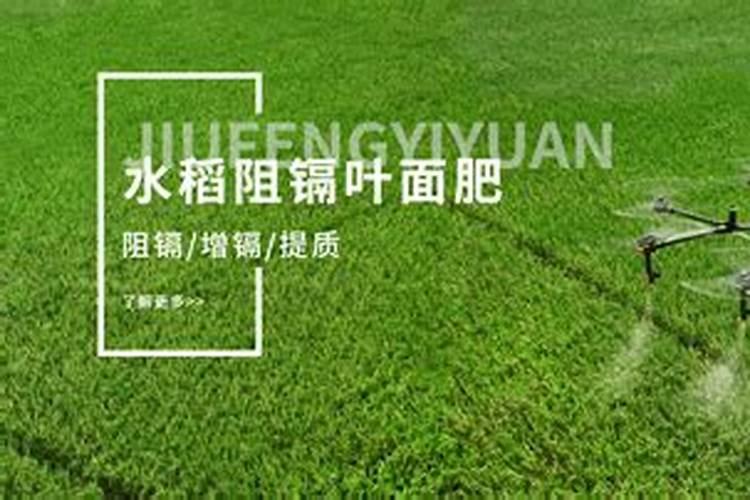 国内10大水溶肥品牌有哪些