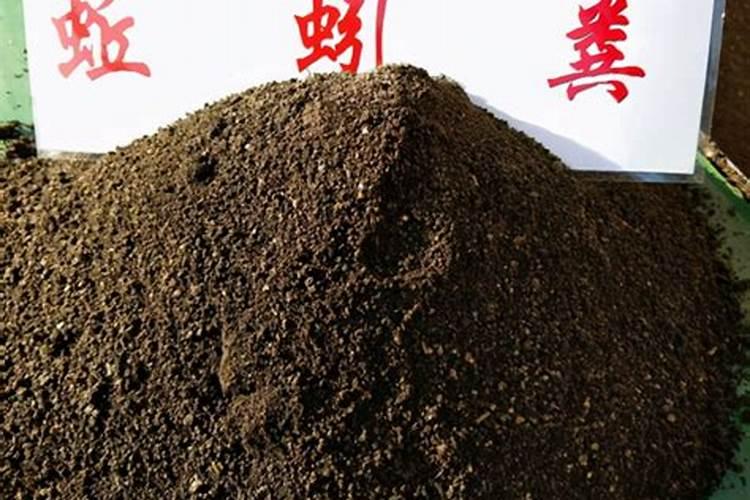 蚯蚓粪适合种什么花